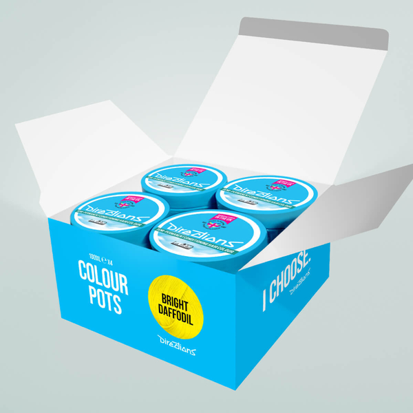 4 pack bright daffodil