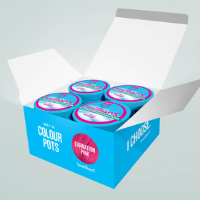 4 Pack Normal Carnation Pink hair colour