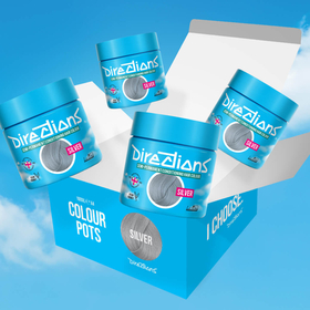 4 Pack Exploded Silver hair colour
