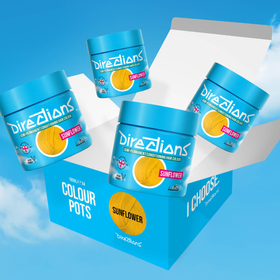 4 Pack Exploded Sunflower hair colour