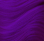 Purple swatch
